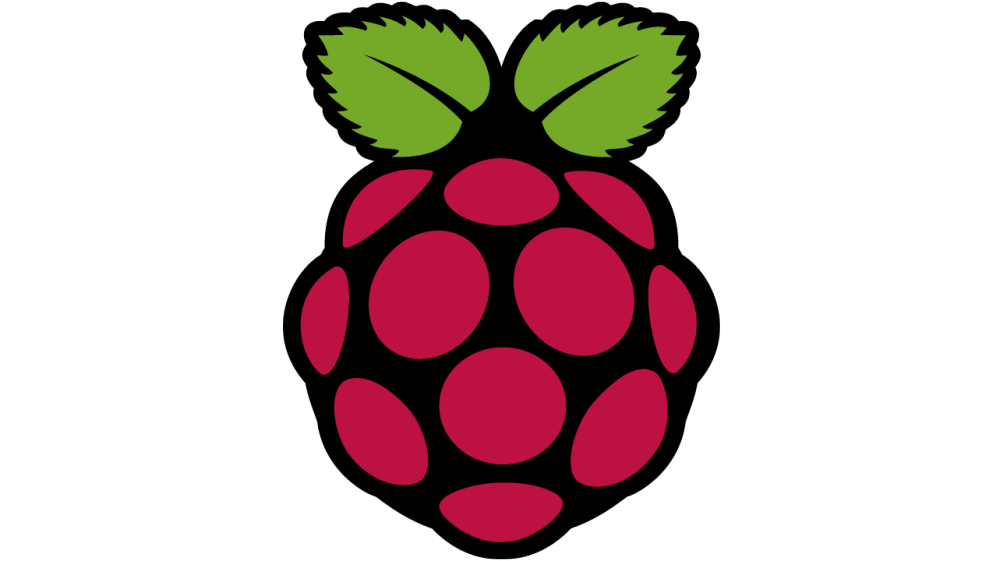 Setup Duck DNS Updater on Raspberry Pi